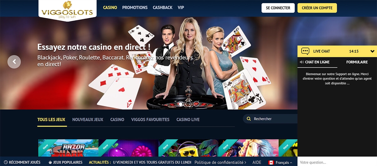image de présentation chat du casino viggoslots en France