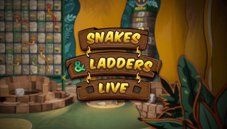 banner Snake and Ladders